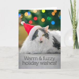 Merry Christmas For Anyone Warm and Fuzzy Cat Holiday Card