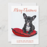 Merry Christmas French Bulldog On Pillow To Family