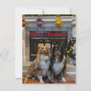 Merry Christmas from Aussies Holiday Card