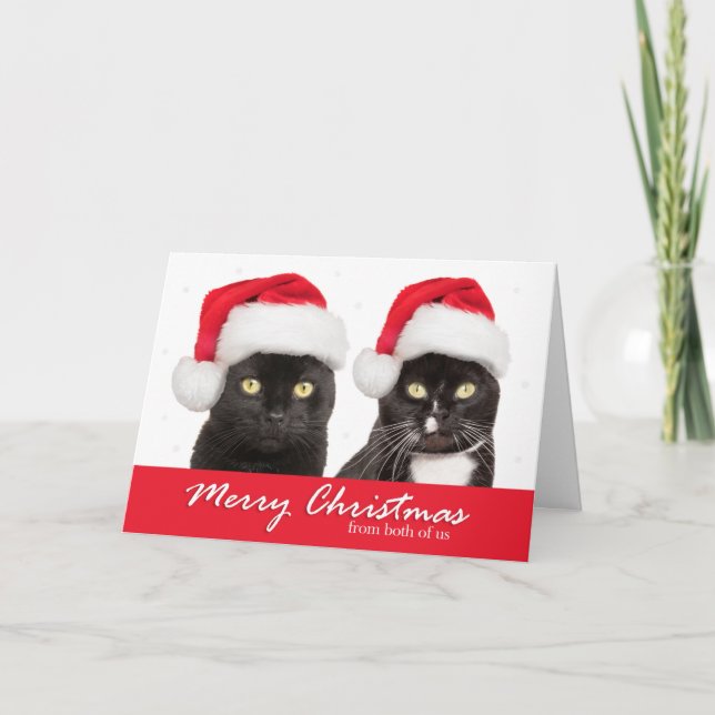 Merry Christmas From Both of Us Cats in Santa Hats Holiday Card (Front)