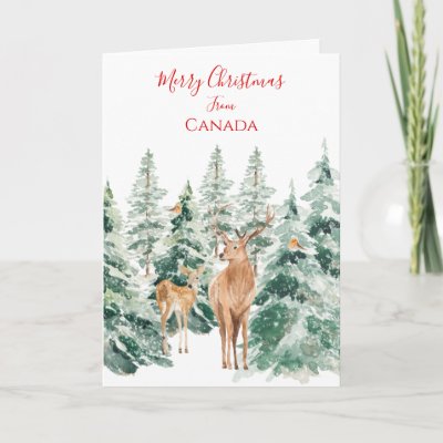 Script Christmas Gifts on Zazzle NZ