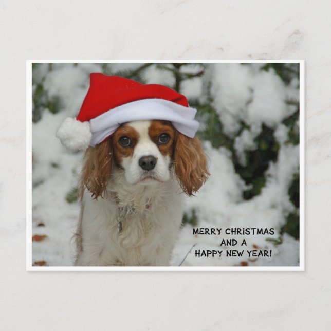 Merry Christmas from Charly Holiday Postcard (Front)