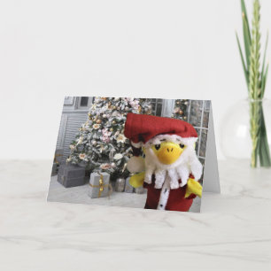 Merry Christmas from Danny Duck Announcement