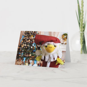 Merry Christmas from Danny Duck Announcement