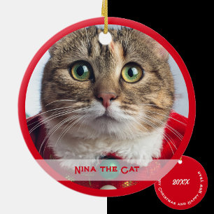 Merry Christmas from Family Cat Ceramic Tree Decoration