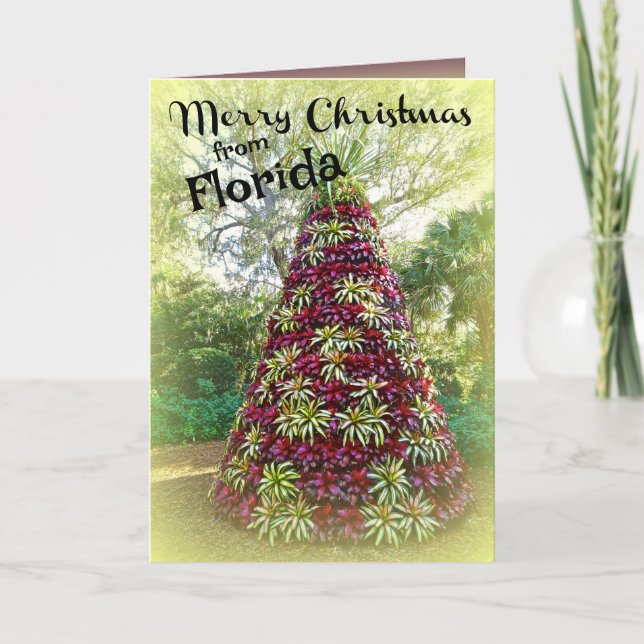 Merry Christmas from Florida Bromeliad Tree Holiday Card (Front)