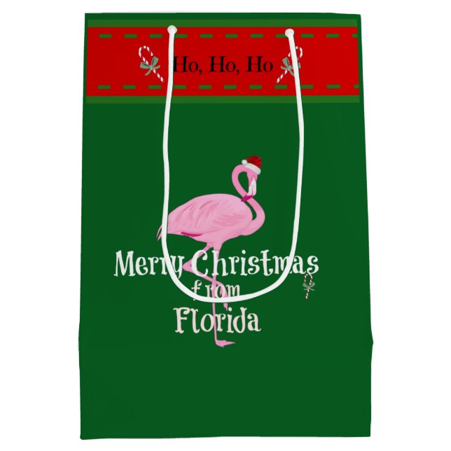 Merry Christmas from Florida Medium Gift Bag (Back)