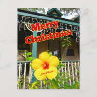 Merry Christmas from Florida Tropical Hibiscus