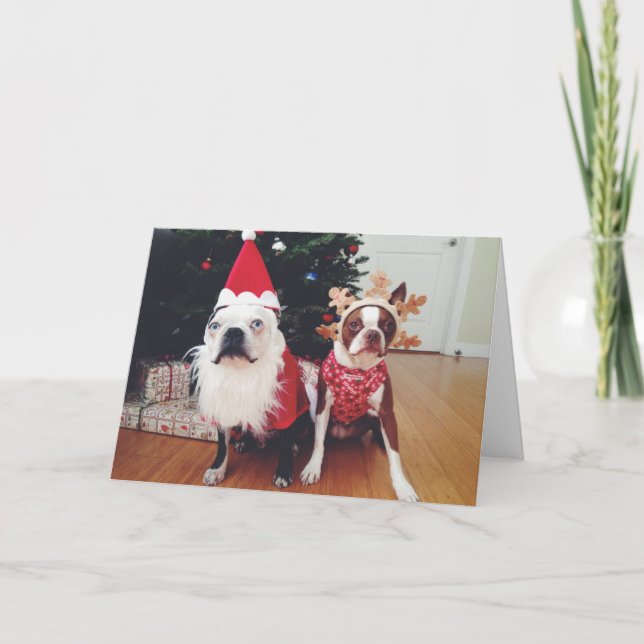 Merry Christmas from Hogwarts & Clementine Holiday Card (Front)