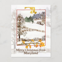 Merry Christmas from Maryland Farm Winter Trees