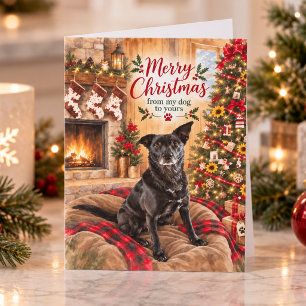 Merry Christmas From My Dog to Yours Holiday Card