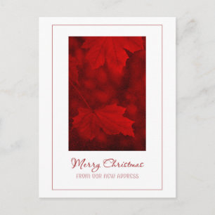 Merry Christmas From New Address Postcard