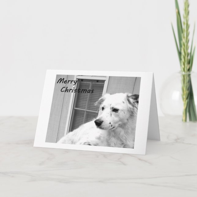 MERRY CHRISTMAS FROM OUR HOUSE TO YOUR HOUSE HOLIDAY CARD (Front)