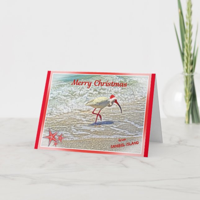 Merry Christmas from Sanibel Island FL White Ibis  Holiday Card (Front)