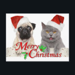 Merry Christmas from Santa Cat and Dog Postcard<br><div class="desc">Holiday greetings from cute pet dog and cat in Santa hats.</div>