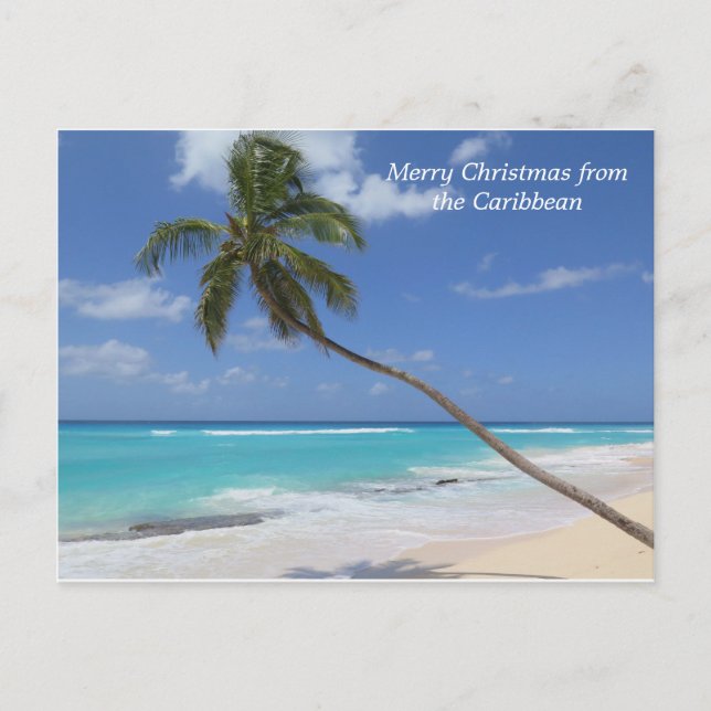 Merry Christmas from the Caribbean palm tree Holiday Postcard (Front)