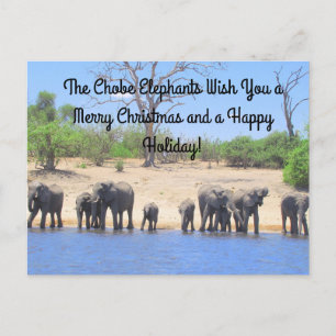 Merry Christmas from the Chobe Elephants Postcard