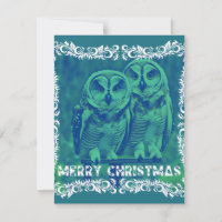 Merry Christmas from the Owls Green