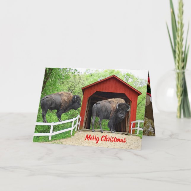 Merry Christmas Funny Buffalo Red Covered Bridge Holiday Card (Front)