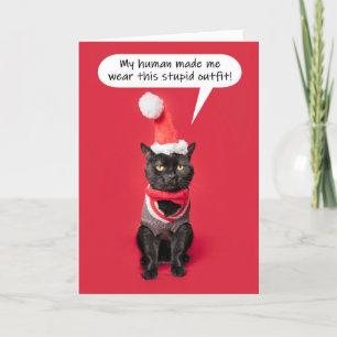 Merry Christmas Funny Cat in Holiday Outfit Card