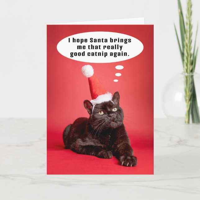 Merry Christmas Funny Cat Thinking of Catnip Humou Holiday Card (Front)