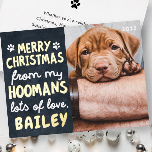 Merry Christmas Funny Modern Pet Custom Photo