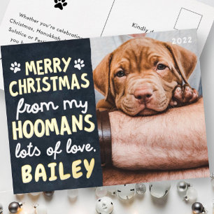 Merry Christmas Funny Modern Pet Custom Photo Foil Holiday Postcard