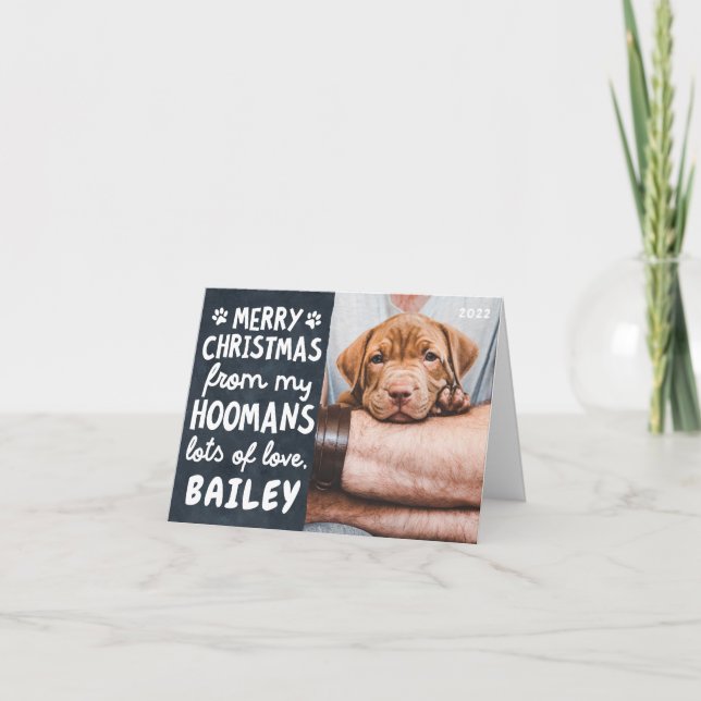 Merry Christmas Funny Modern Pet Custom Photo Holiday Card (Front)