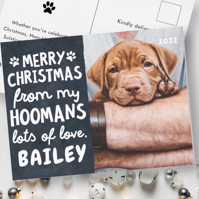 Merry Christmas Funny Modern Pet Custom Photo Holiday Postcard (Creator Uploaded)