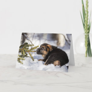 Merry Christmas German Shepherd card