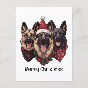 Merry Christmas German Shepherd Dogs Postcard