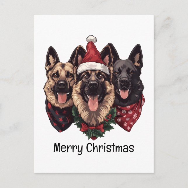 Merry Christmas German Shepherd Dogs Postcard (Front)
