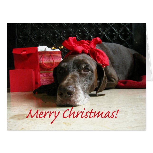 Merry Christmas German Shorthaired Pointer (Front Horizontal)