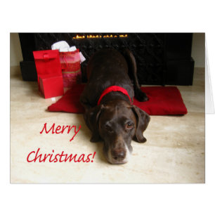 Merry Christmas German Shorthaired Pointer
