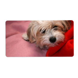 Merry Christmas gift tag labels