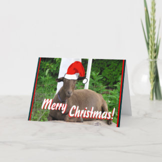 MERRY CHRISTMAS GOAT GREETINGS HOLIDAY CARD