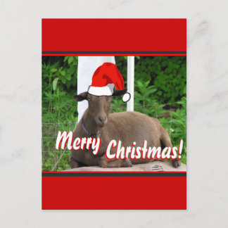MERRY CHRISTMAS GOAT GREETINGS HOLIDAY POSTCARD