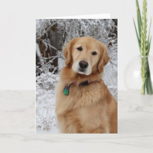 Merry Christmas Golden Card