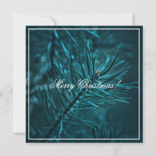 Merry Christmas Green Pine Fir Tree Greeting Card