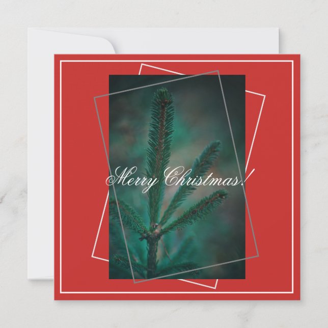 Merry Christmas Green Pine Fir Tree Greeting Card (Front)