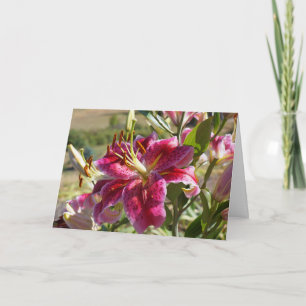 Merry Christmas greeting Cards Pink Lily Flowers