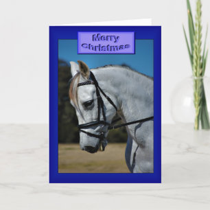 Merry Christmas Happy Holidays Christmas horse Holiday Card