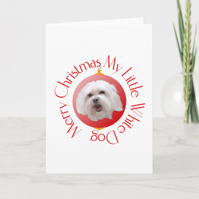 Merry Christmas Havanese Holiday Card (Front)