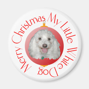 Merry Christmas Havanese Magnet