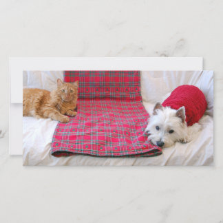 Merry Christmas Holiday Card