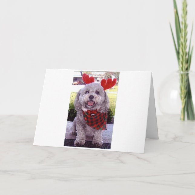 Merry Christmas Holiday Card (Front)