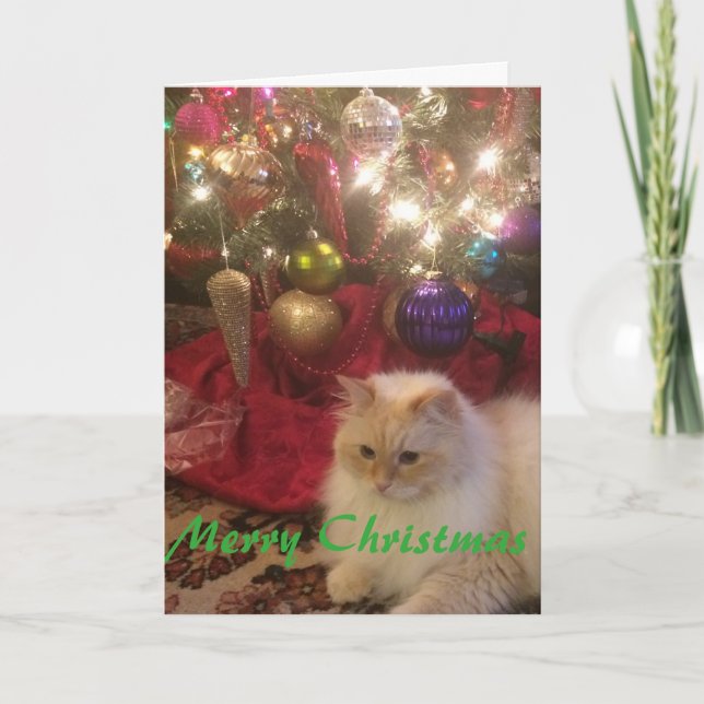 Merry Christmas Holiday Card (Front)