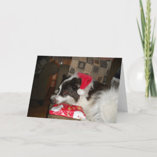 Merry Christmas Holiday Card