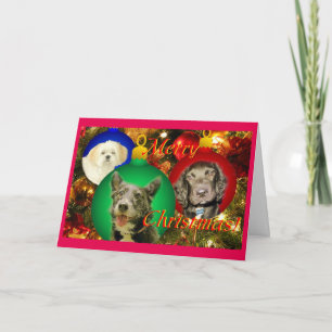 Merry Christmas! Holiday Card