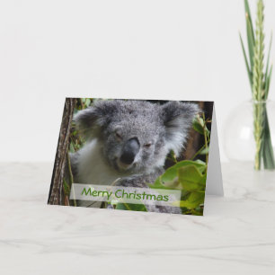 merry Christmas Holiday Card